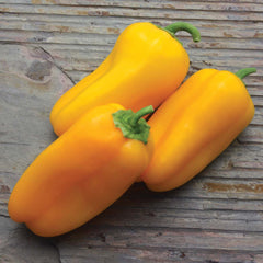 Lunch Box Yellow - 4