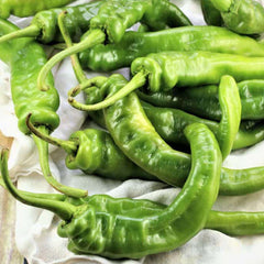 Marchant Italian Pickling - 4