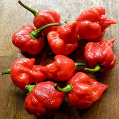 Scorpion Trinidad Moruga - 4