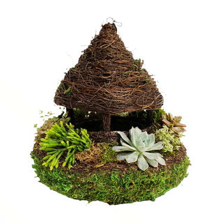 succulents moss landing Mini Succulents in Hanging Moss Gazebo Arrangement – Roger's Gardens