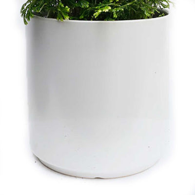 White Cylinder Pot - 7in
