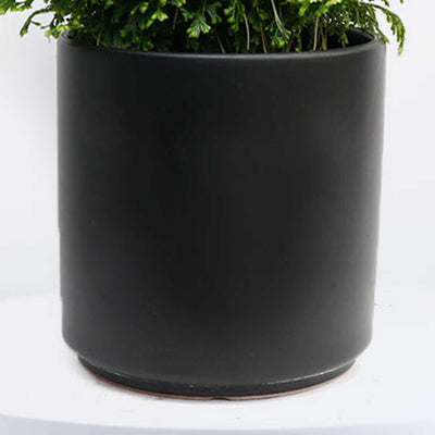 Black Cylinder Pot - 7in