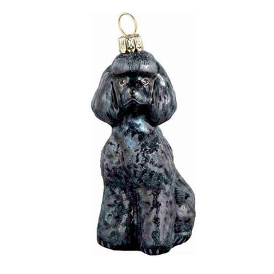 Toy Poodle Black