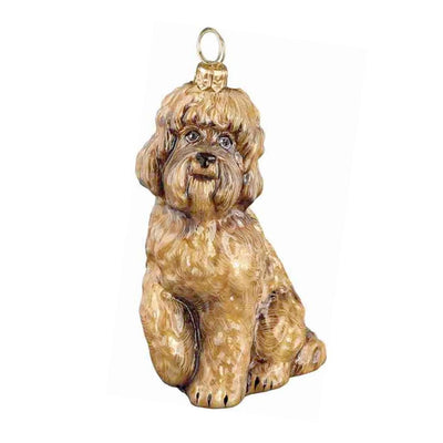 Labradoodle Brown