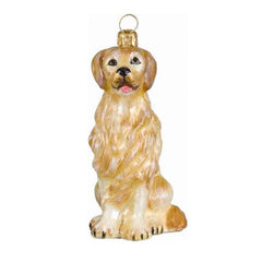 Golden Retreiver Sitting