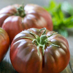 Brandywine True Black - 4