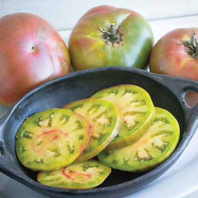 Captain Lucky - 4" Pot