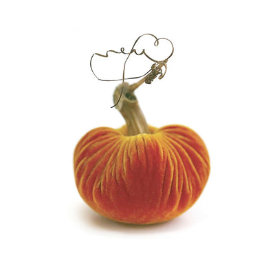 Carrot Velvet Pumpkin - 5" Tall to 13" Tall