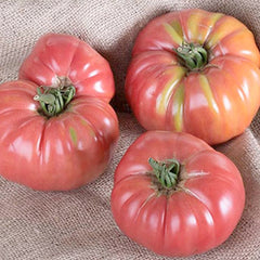 Chef's Choice Pink - 4