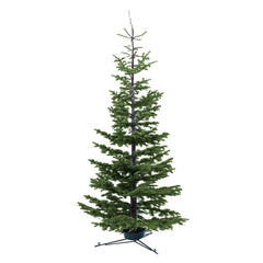 Premium Silvertip Fir 9-10 Ft
