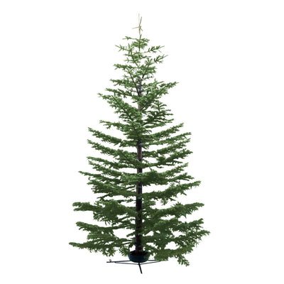 Premium Wild Noble Fir 8-9 Ft