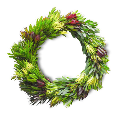 Fresh Leucadendron Wreath - 12"